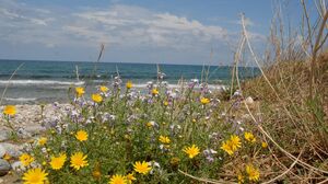 Krēta – Grieķijas ziedošā sala