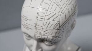 Frenoloģija jeb ko par tevi stāsta tavs galvaskauss?