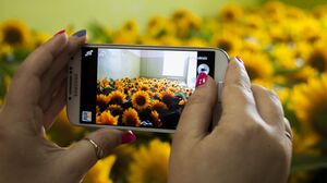 Ekspozīcija "Dārzs" Dievam tīkamā namā