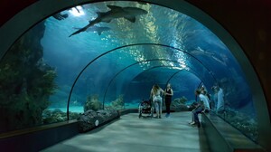 Roterdama – mazā Ņujorka