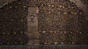 PORTUGĀLE 5.daļa – Evora