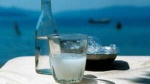 Mājas bāra revīzija – šļivovica, rakija, uzo, džindža