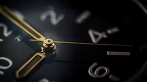 Lietderīga laika pavadīšana