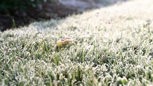 Rudens dzejnieki – decembris - Ziemeļnieks