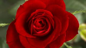 Prostitūcija, darbs mājās, bērnu aprūpe un laulība